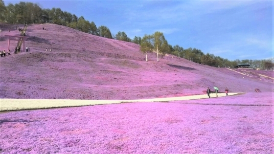 4547.jpg