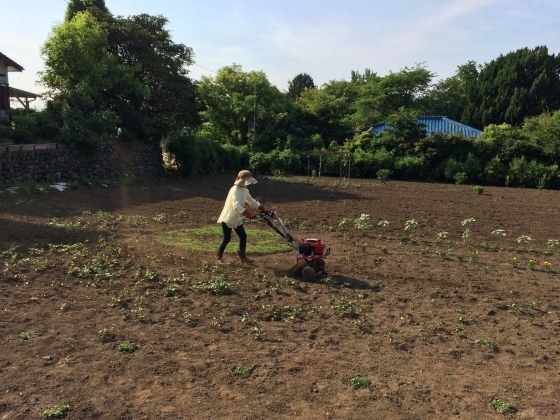C15EBA78-230D-4058-B211-DA88A8C172D1.jpg
