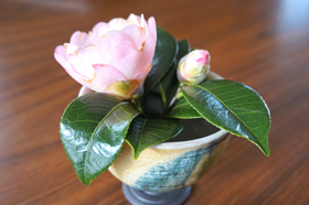 DSC02680.JPG