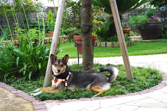 DSC05714.jpg