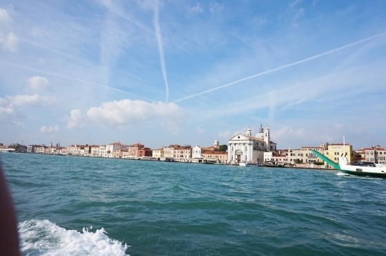 DSC07767.jpg
