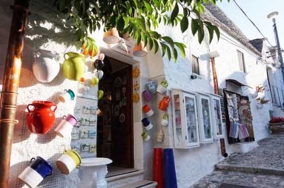 DSC07842.jpg