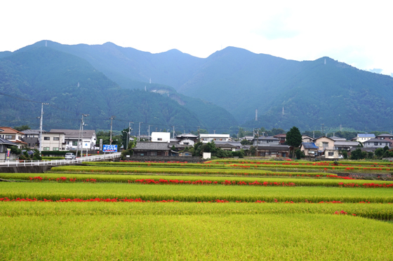 DSC07920.jpg