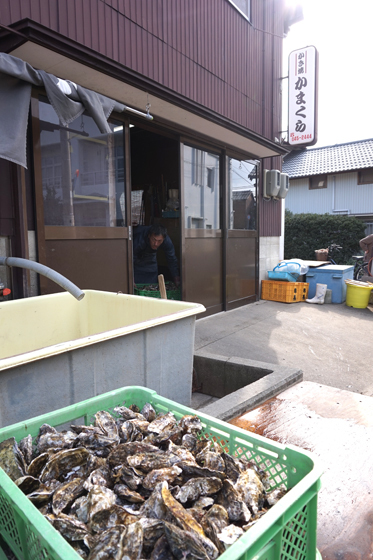 DSC09349.JPG