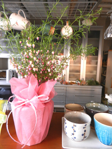DSCN1143.JPG