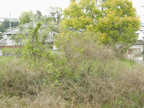 DSCN4473.JPG