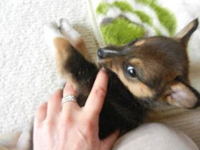 DSCN4674.JPG