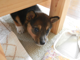 DSCN4677.JPG