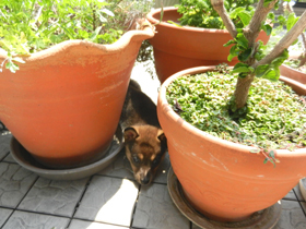 DSCN4678.JPG