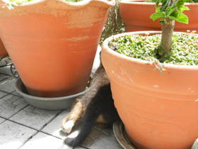 DSCN4680.JPG