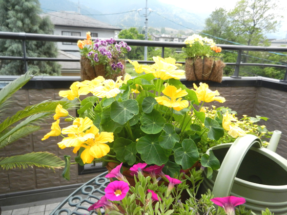 DSCN4684.JPG