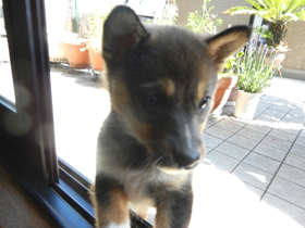 DSCN4693.JPG