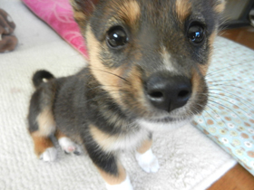 DSCN4702.JPG