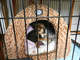DSCN4714.JPG