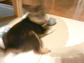 DSCN4906.JPG