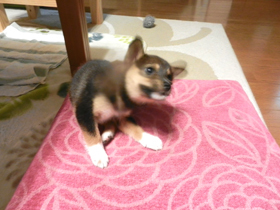 DSCN4907.JPG