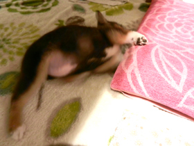 DSCN4910.JPG