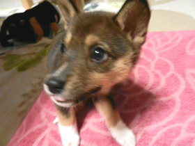 DSCN4915.JPG