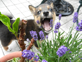 DSCN4961.JPG