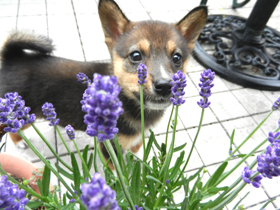 DSCN4963.JPG