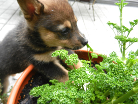 DSCN4967.JPG
