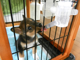 DSCN4976.JPG