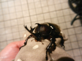 DSCN5915.JPG