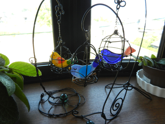 DSCN6022.jpg