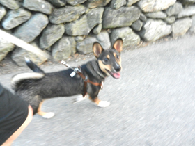 DSCN6086.JPG