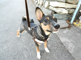 DSCN6088.JPG