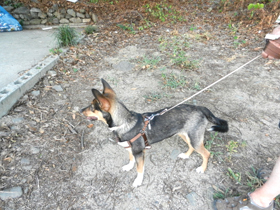 DSCN6090.JPG