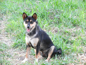 DSCN6095.JPG