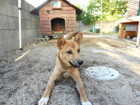 DSCN6361.JPG