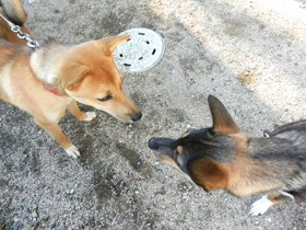 DSCN6370.JPG