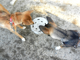 DSCN6371.JPG