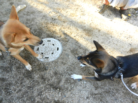 DSCN6373.JPG