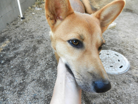 DSCN6377.JPG