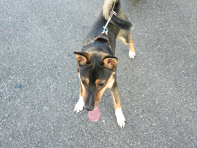 DSCN6381.JPG