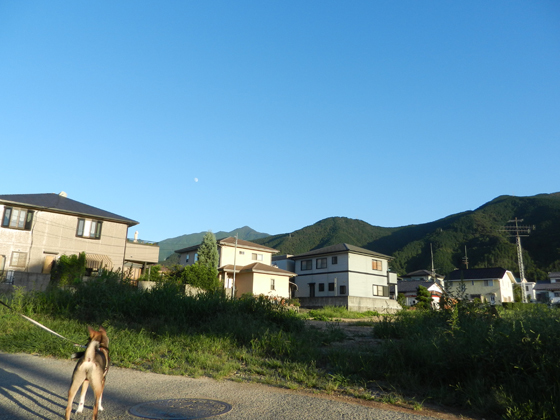 DSCN6388.JPG