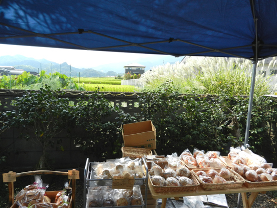 DSCN6500.JPG