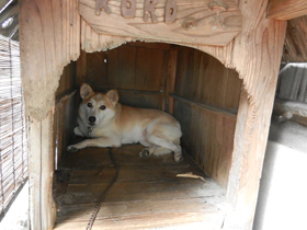 DSCN6507.JPG