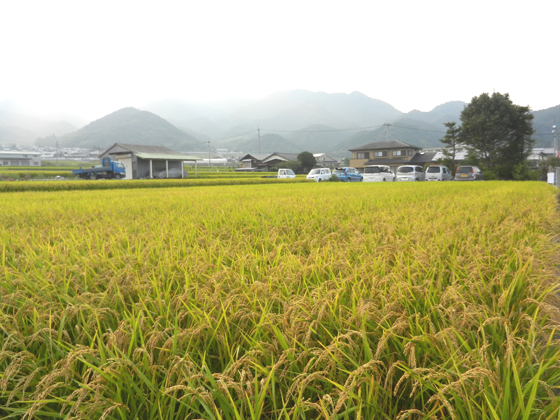 DSCN6509.JPG