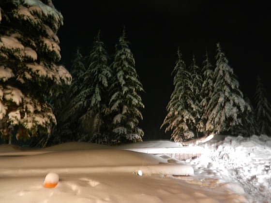 DSCN7249.jpg