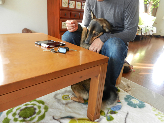 DSCN7798.jpg