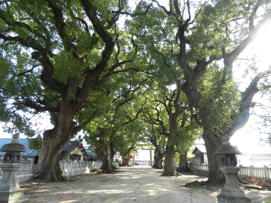 DSCN8293.JPG