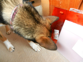DSCN8948.JPG