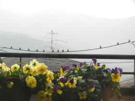 DSCN8956.JPG