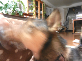 DSCN8985.JPG