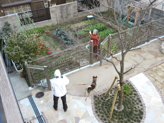 DSCN9242.jpg