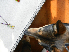DSCN9277.JPG